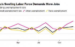 看图：去年12月印度失业率升至16个月以来新高